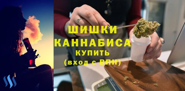 спиды Богородицк