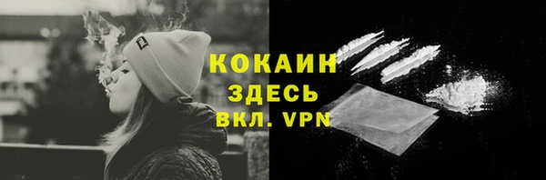 спиды Богородицк