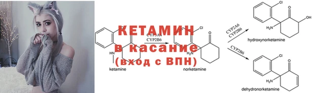 спиды Богородицк