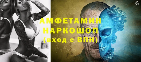 спиды Богородицк