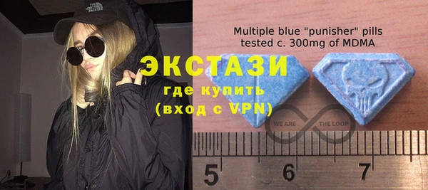 спиды Богородицк