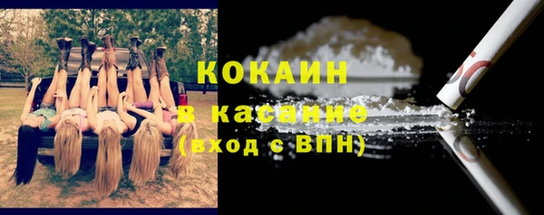 спиды Богородицк