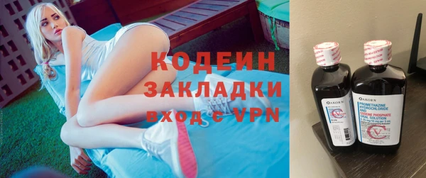 спиды Богородицк