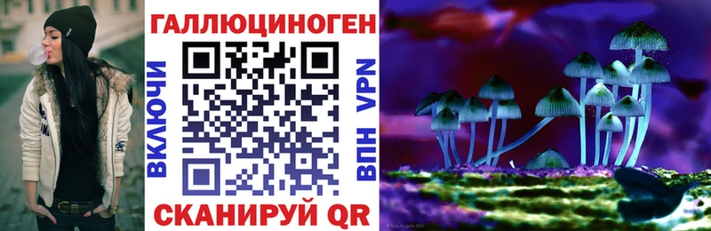 Псилоцибиновые грибы прущие грибы хочу наркоту Южа